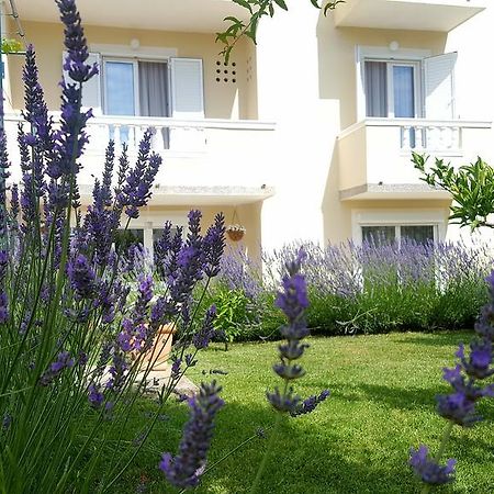 Apartment Branka Banjol Exterior foto